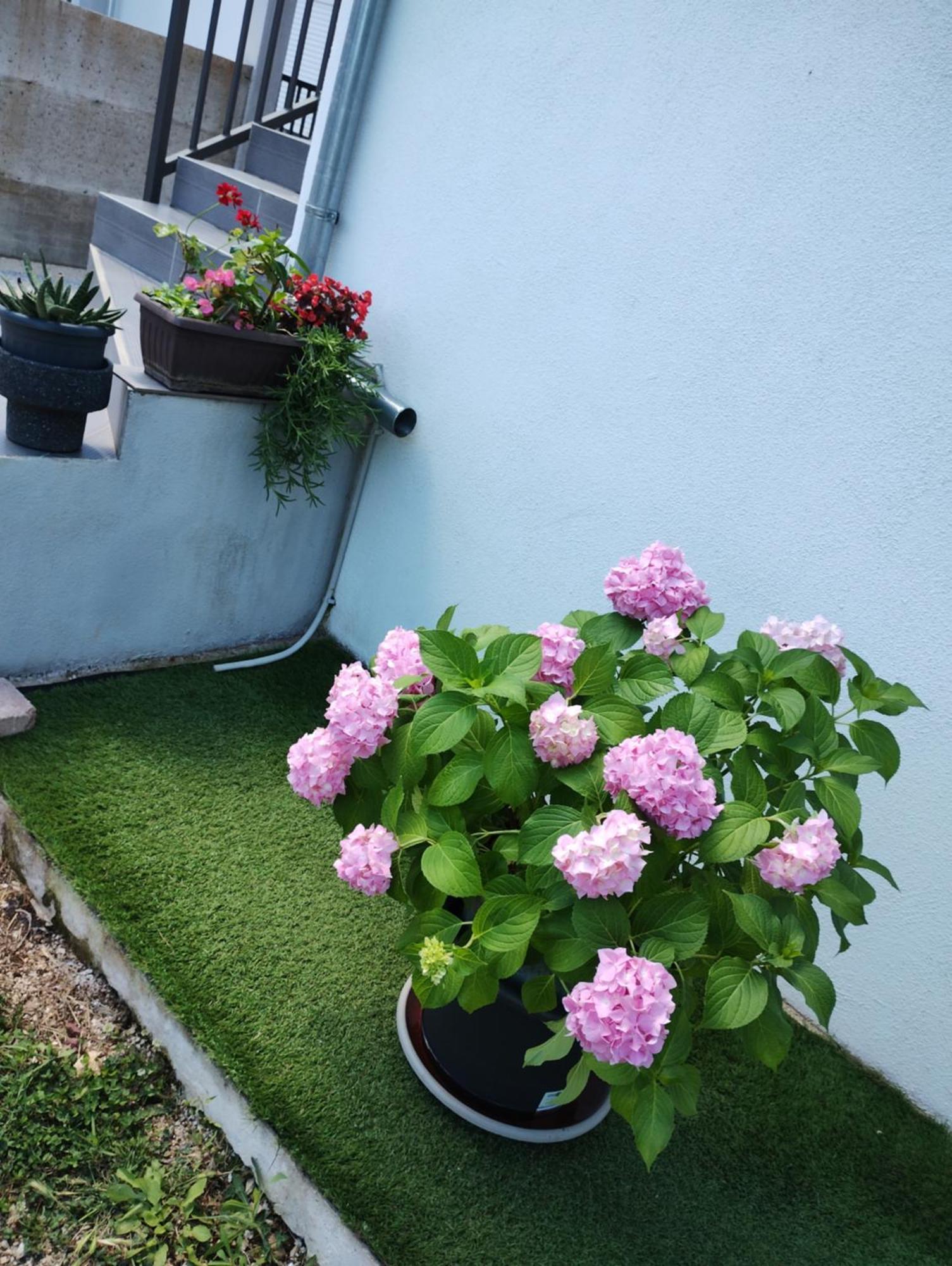 Apartman Enia Murvica  部屋 写真